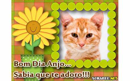 Moldura - Bom Dia Anjo