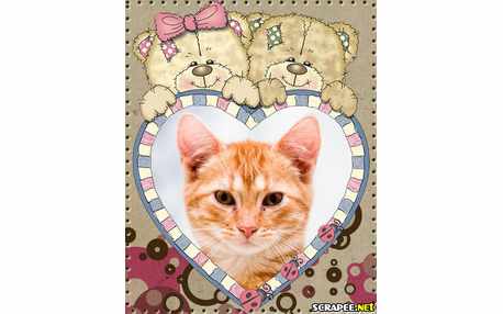 Moldura - Casal De Urso