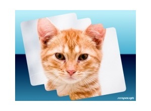 Moldura - Borda Simples 2