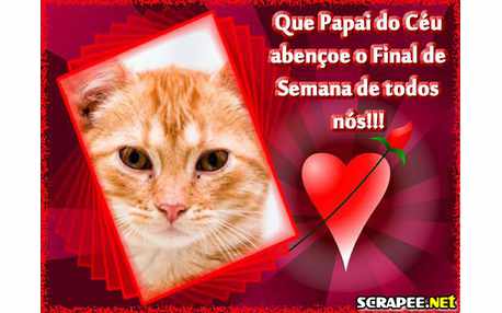 Moldura - Previsao Do Tempo