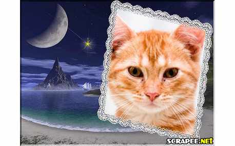 Moldura -  Estrela Da Noite