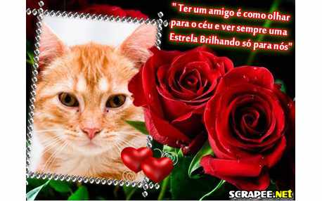 Moldura - Brilho No Ceu