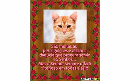 Moldura - Mensagem Crista