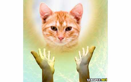 Moldura - Resplendor