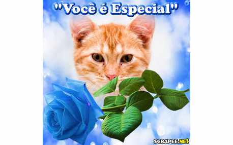 Moldura - Pessoas Especiais