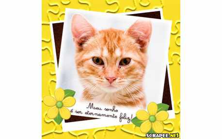 Moldura - Um Sonho De Ser Feliz