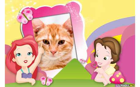 Moldura - Princesas Baby