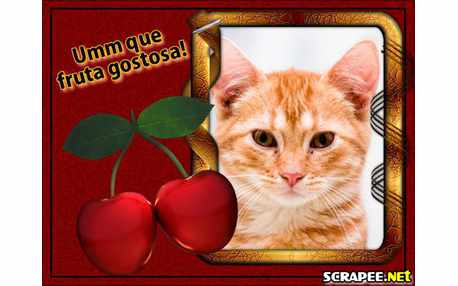 Moldura - Fruta Do Amor