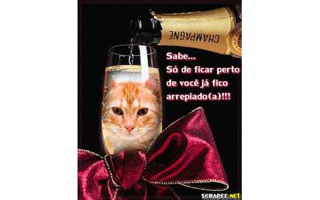 Moldura - Desperdicio