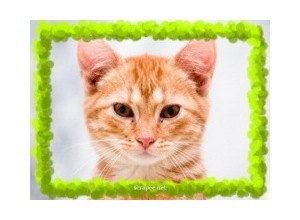 Moldura - Borda Simples 3