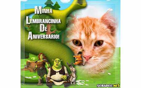 Moldura - Lembrancinha De Aniversario Do Shrek