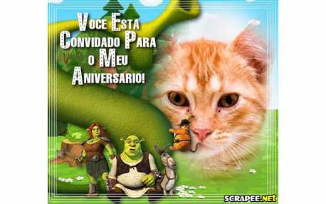 Moldura - Convite De Aniversario Do Shrek