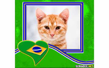 Moldura - Orgulho De Ser Brasileiro