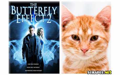 Moldura - The Butterfly Effect