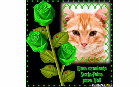 Moldura - Proxima Sexta Feira