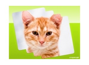 Moldura - Borda Simples 4