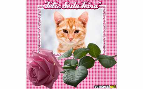 Moldura - Sexta Feira