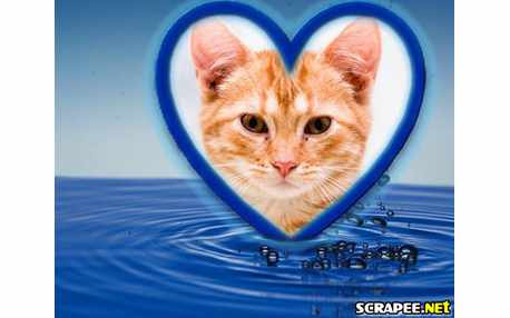 Moldura - Coracao Na Agua