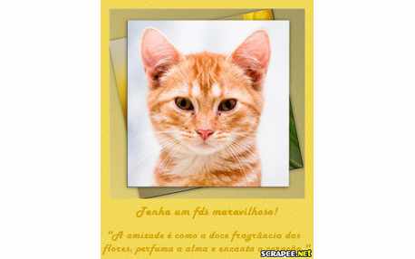 Moldura - Maravilhas Do Final De Semana