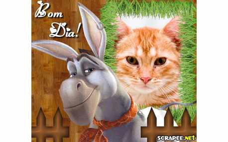 Moldura - Burrinho Do Donkey Xote