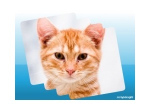 Moldura - Borda Simples Azul