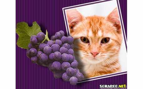 Moldura - Cacho De Uva