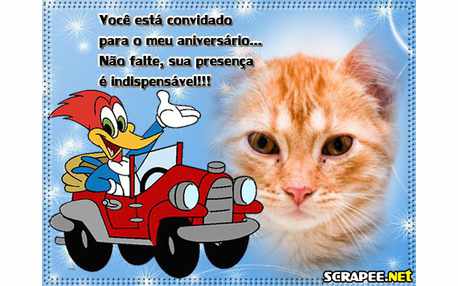 Moldura - Convite De Aniversario Do Pica Pau