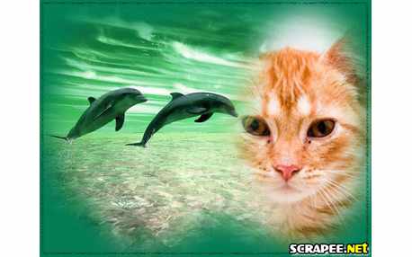 Moldura - Dupla De Golfinhos