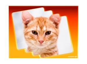 Moldura - Borda Simples Tipo Fogo