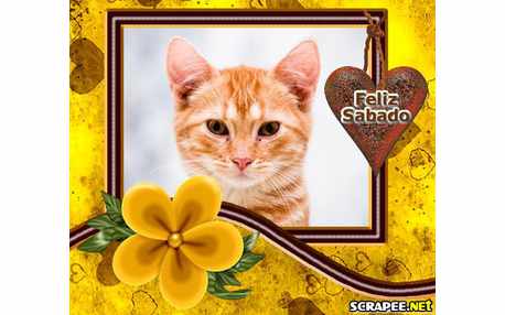 Moldura - O Sabado Q Todo Mundo Quer