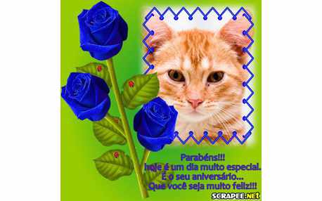 Moldura - Mensagem Desejando Parabens