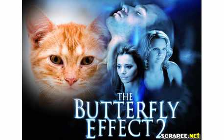 Moldura - Filme The Butterfly Effect