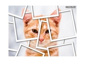 Moldura - Efeito Polaroide