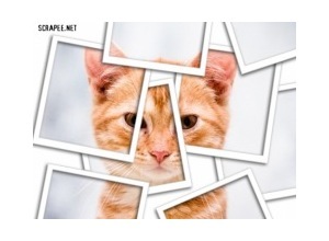 Moldura - Efeito Polaroide 2