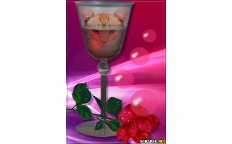 Moldura - Taca De Cristal