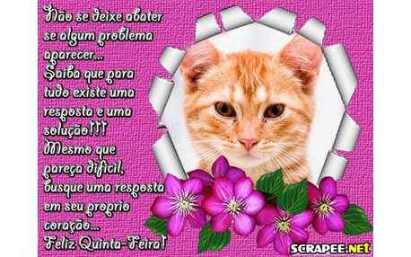 Moldura - Respostas Para A Vida