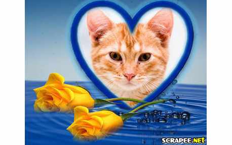 Moldura - Foto Na Agua