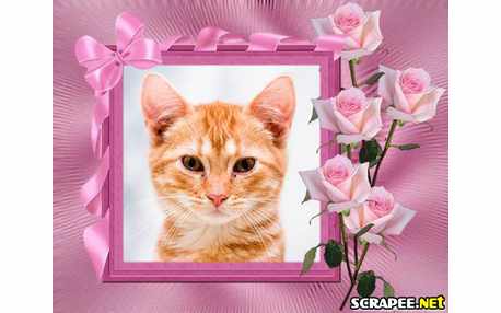 Moldura - Roseira Sem Espinho