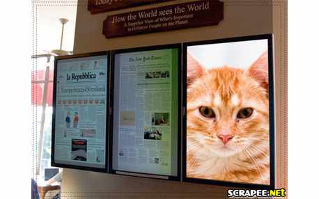 Moldura - Exposicao De Fotos