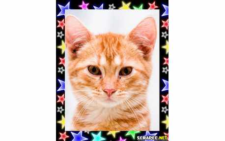 Moldura - Borda De Estrelinhas