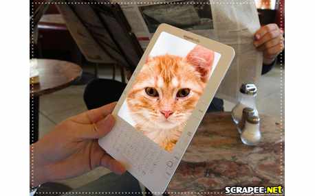 Moldura - Jornal Digital