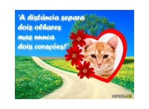 Moldura - Mensagem E Coracao De Amor