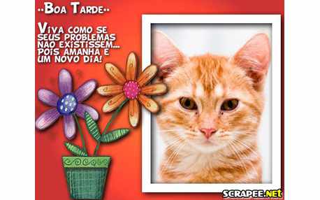 Moldura - Nada E Impossivel