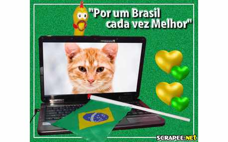 Moldura - Por Um Brasil Melhor