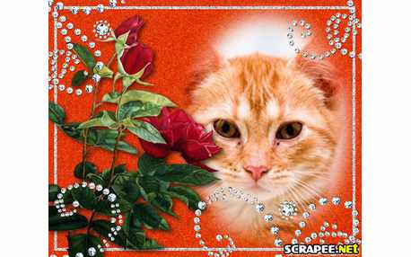 Moldura - Arte Visual