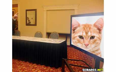 Moldura - Television