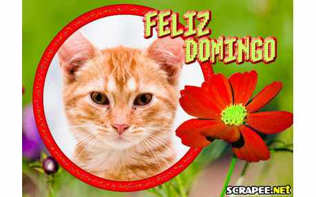 Moldura - Dia De Descanco