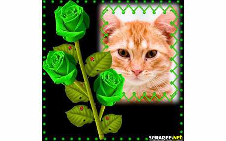 Moldura - Rosas Verdes