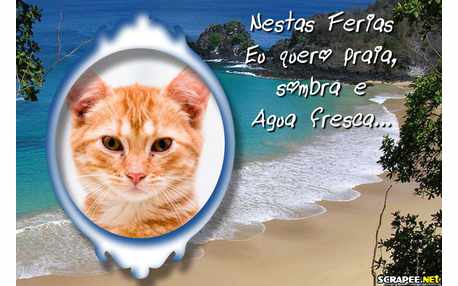 Moldura - Viagem Dos Sonhos Nas Ferias