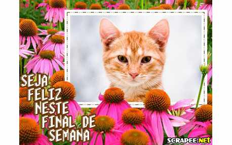 Moldura - Plantacao De Flores